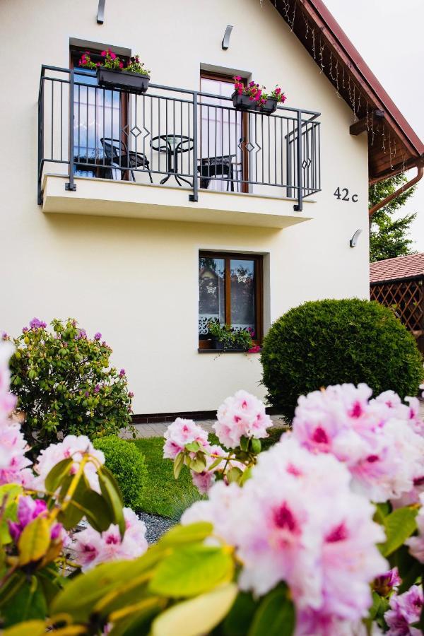 Apartamenty Pod Cisem Kudowa Zdroj Exterior photo